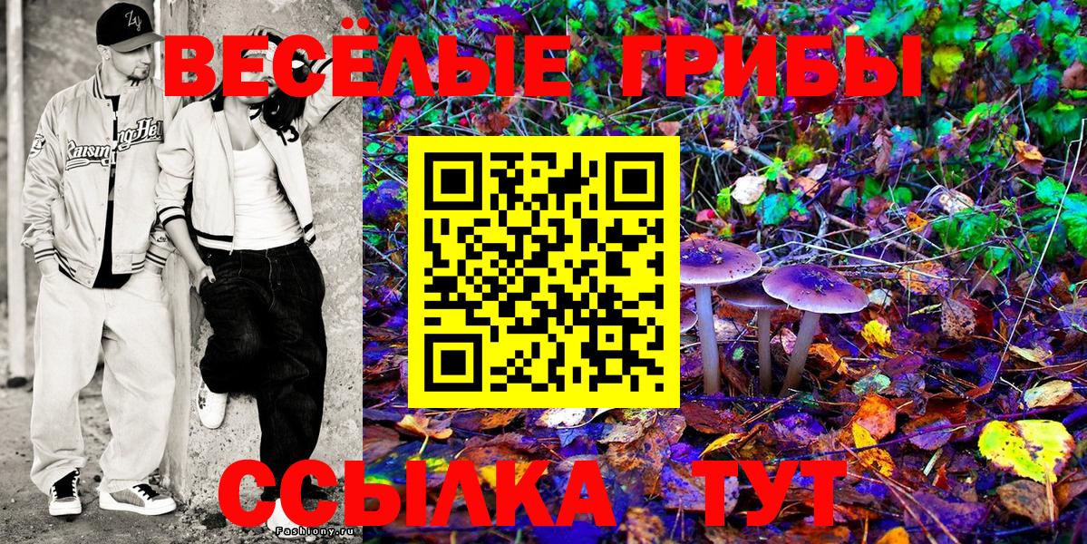 Псилоцибиновые грибы мицелий Баксан