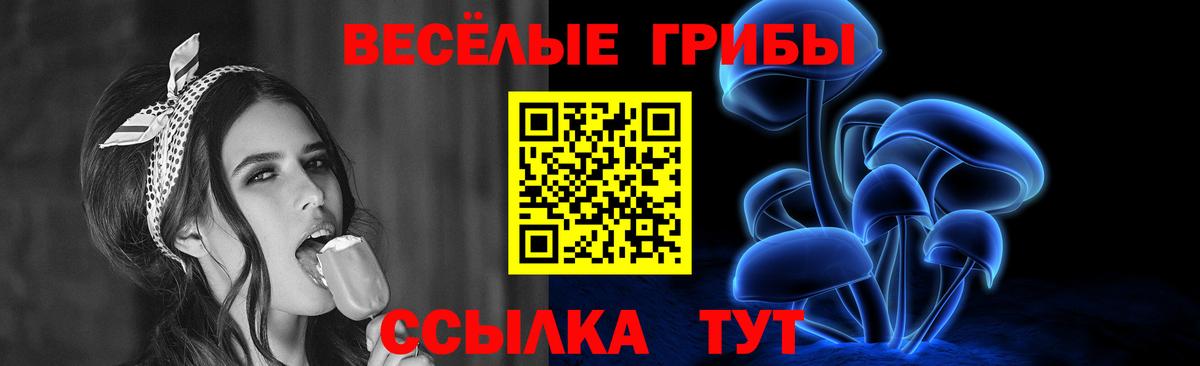 Галлюциногенные грибы мухоморы  Галлюциногенные грибы Psilocybe  Вход с VPN  Баксан 